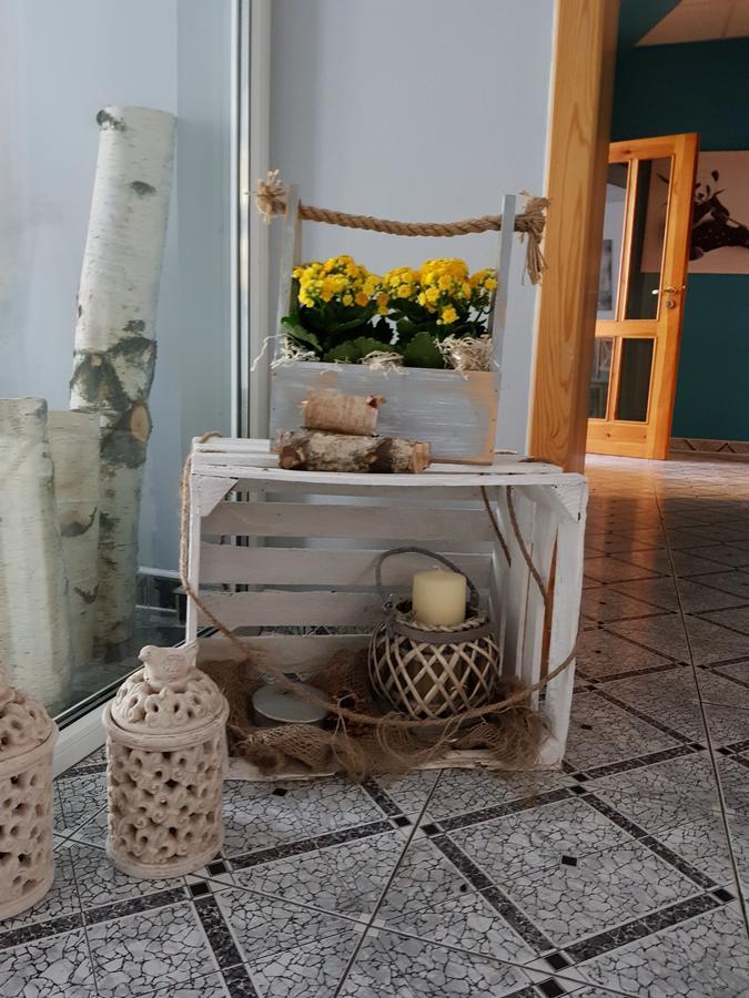 Willa Scandia Duszniki Zdrój Εξωτερικό φωτογραφία